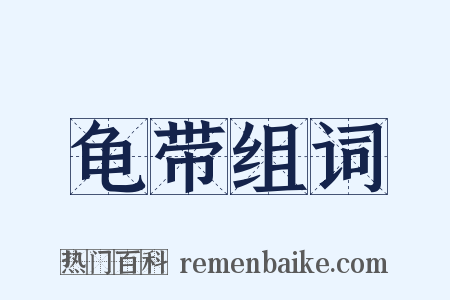 龟带组词是什么意思的图片